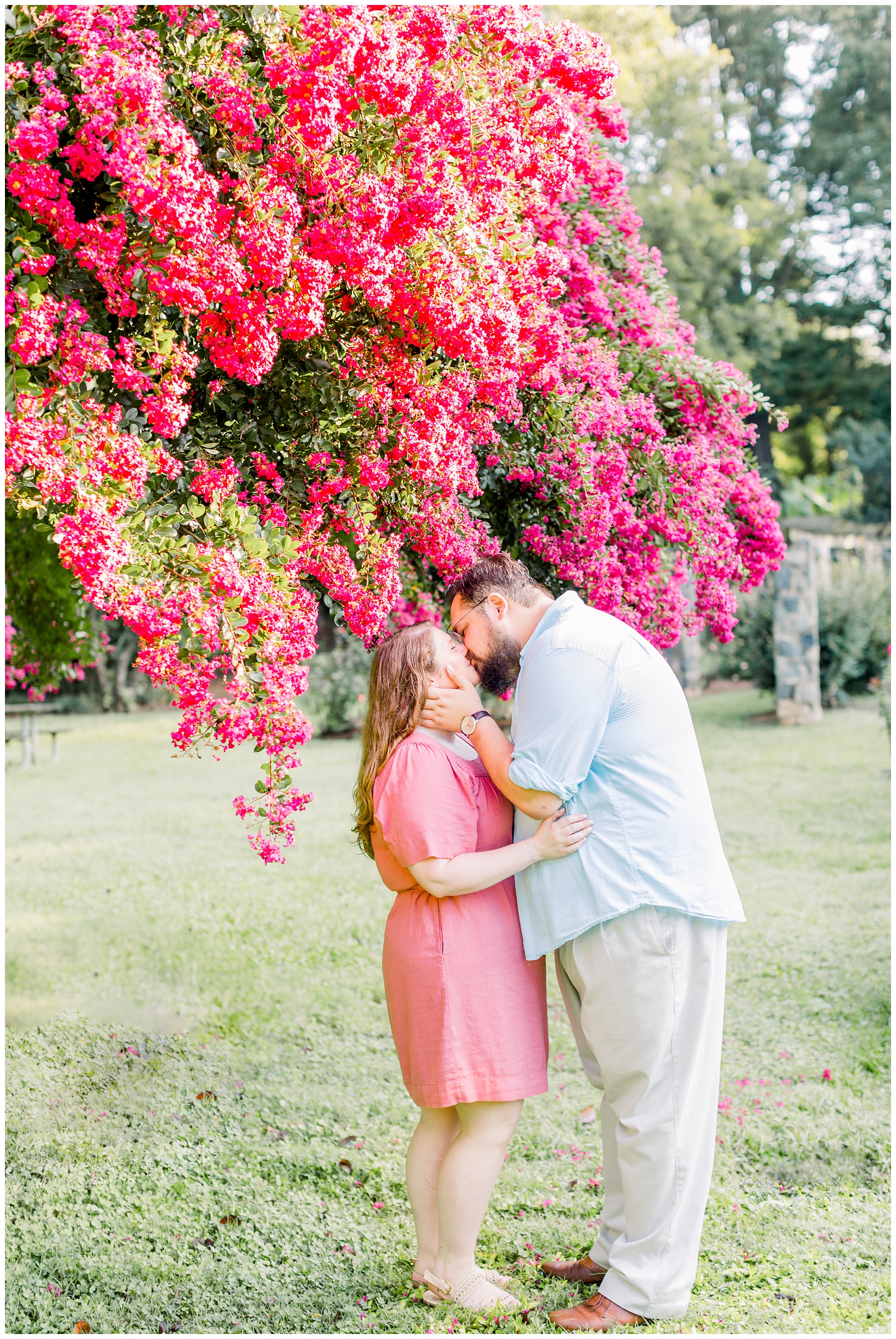 Raleigh Rose Garden Engagement Session. Amanda Eloise Photography. North Carolina Wedding Photographer