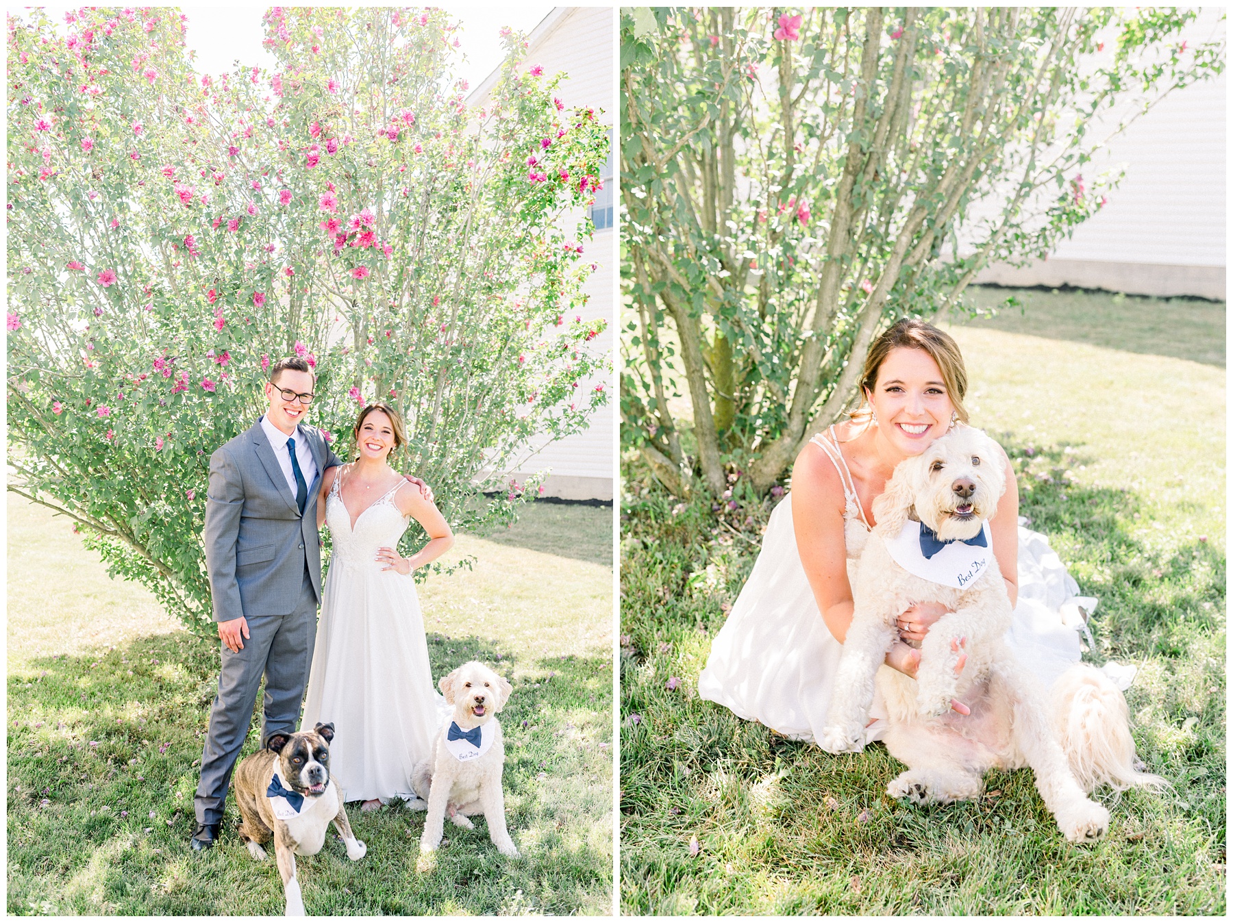 Bridal and groom with dogs at Nationwide Hotel & conference Center Wedding in Columbus Ohio.