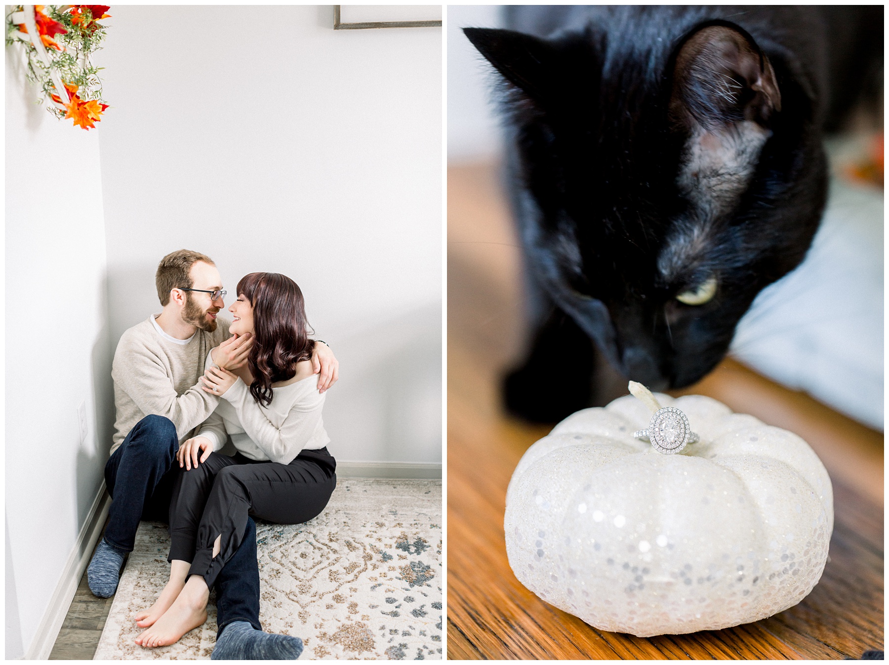 In home session with cat engagement session
